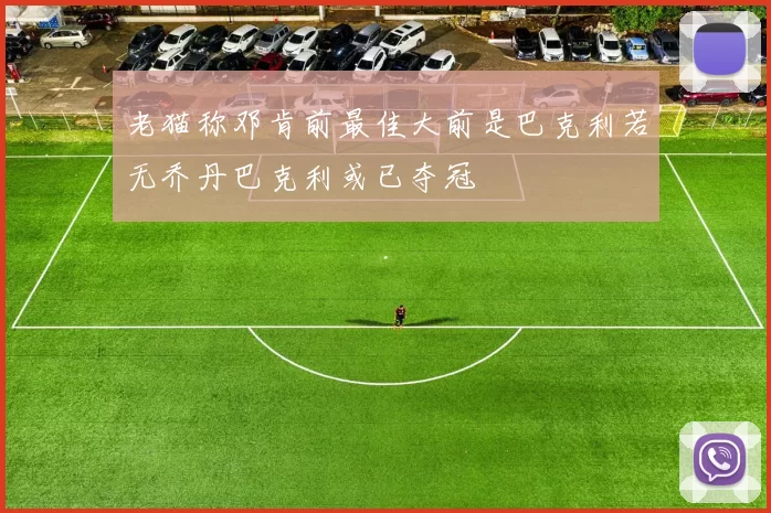 老猫称邓肯前最佳大前是巴克利若无乔丹巴克利或已夺冠
